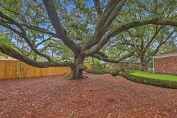 1510 Manor Boulevard photo 4