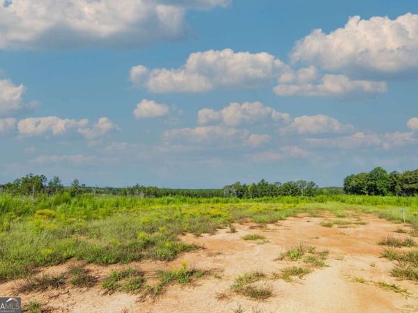 TRACT 5 Carlisle Gap Road, Woodland, GA 31836