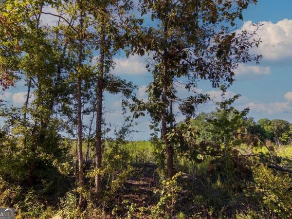 TRACT 6 Carlisle Gap Road, Woodland, GA 31836