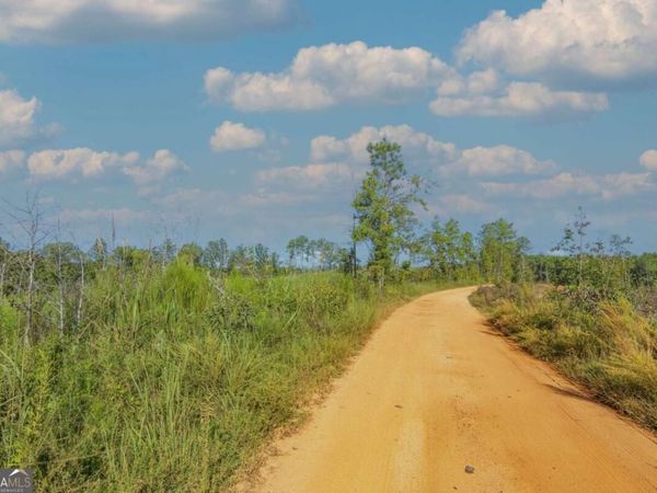 TRACT 7 Carlisle Gap Road, Woodland, GA 31836