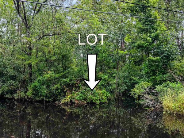 0 Meggett Dr., Georgetown, SC 29440