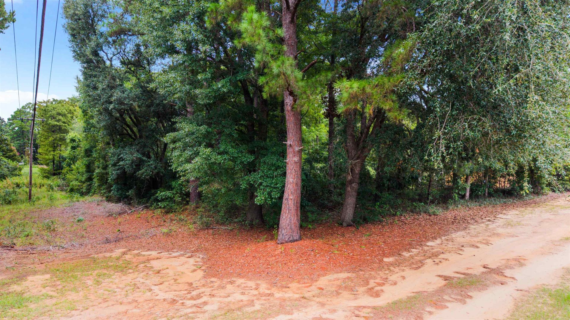 0 Meggett Dr. Photo 12
