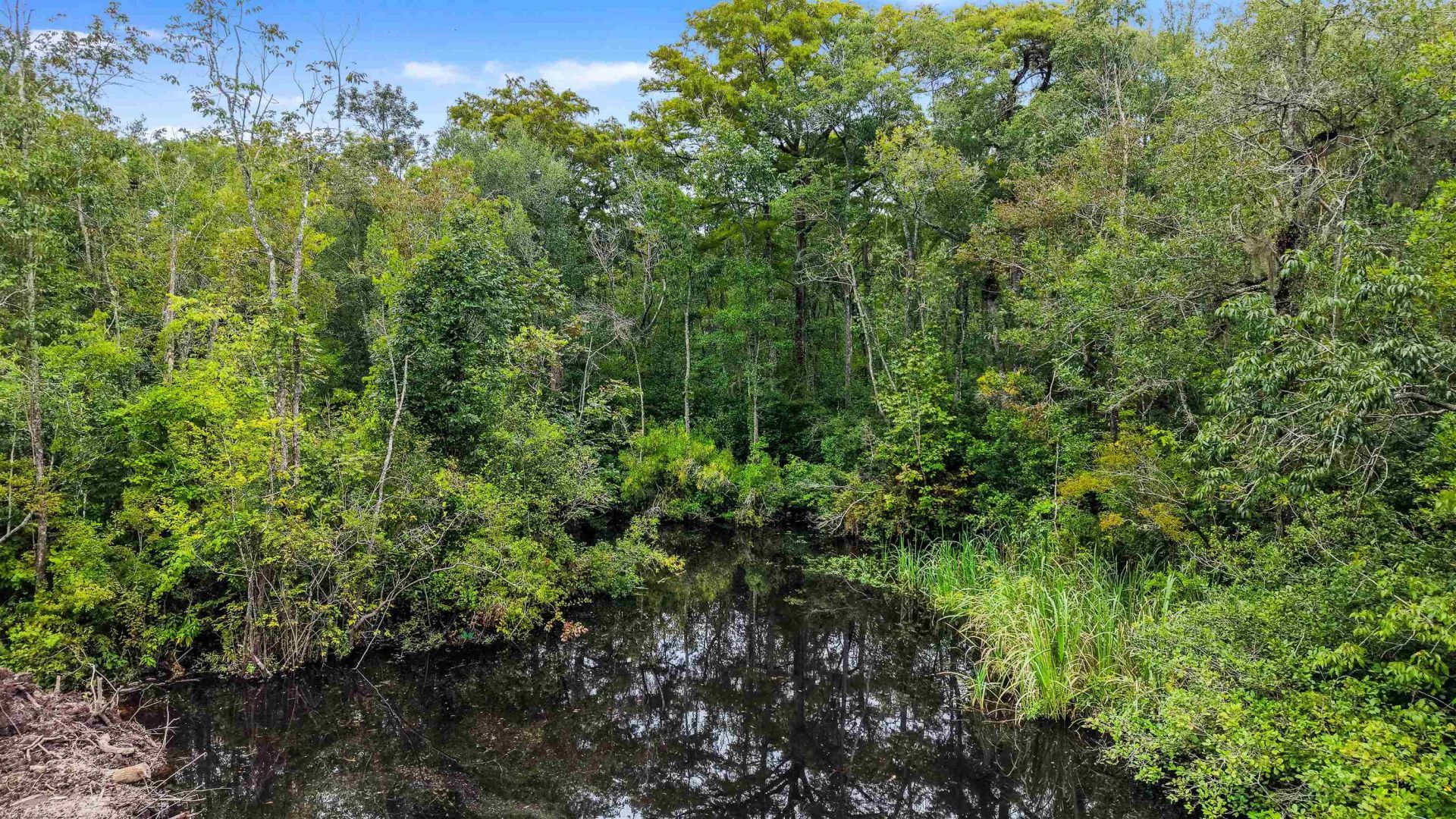 0 Meggett Dr. Photo 16