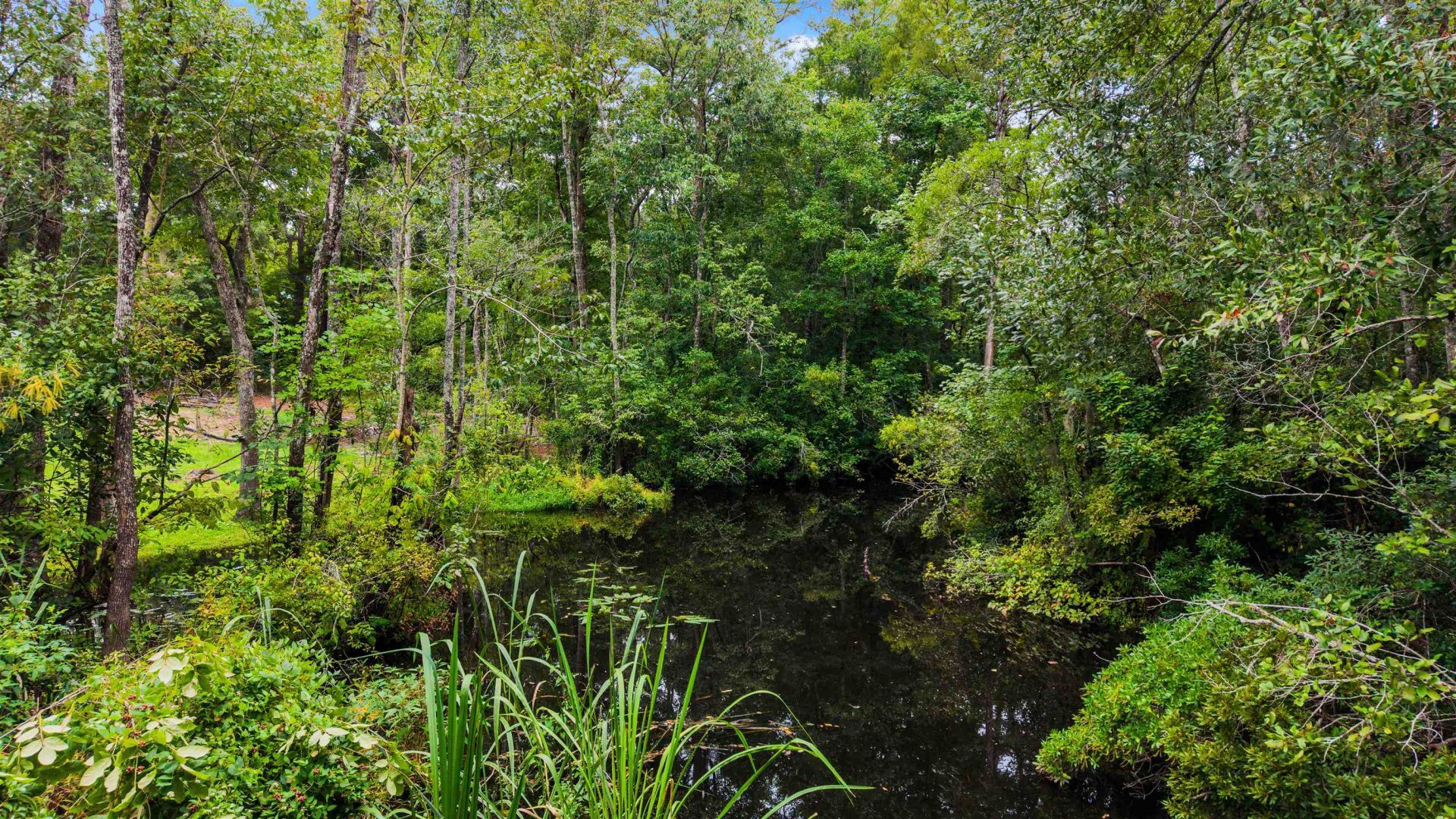 0 Meggett Dr. Photo 17