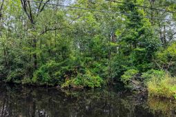 0 Meggett Dr. photo 4