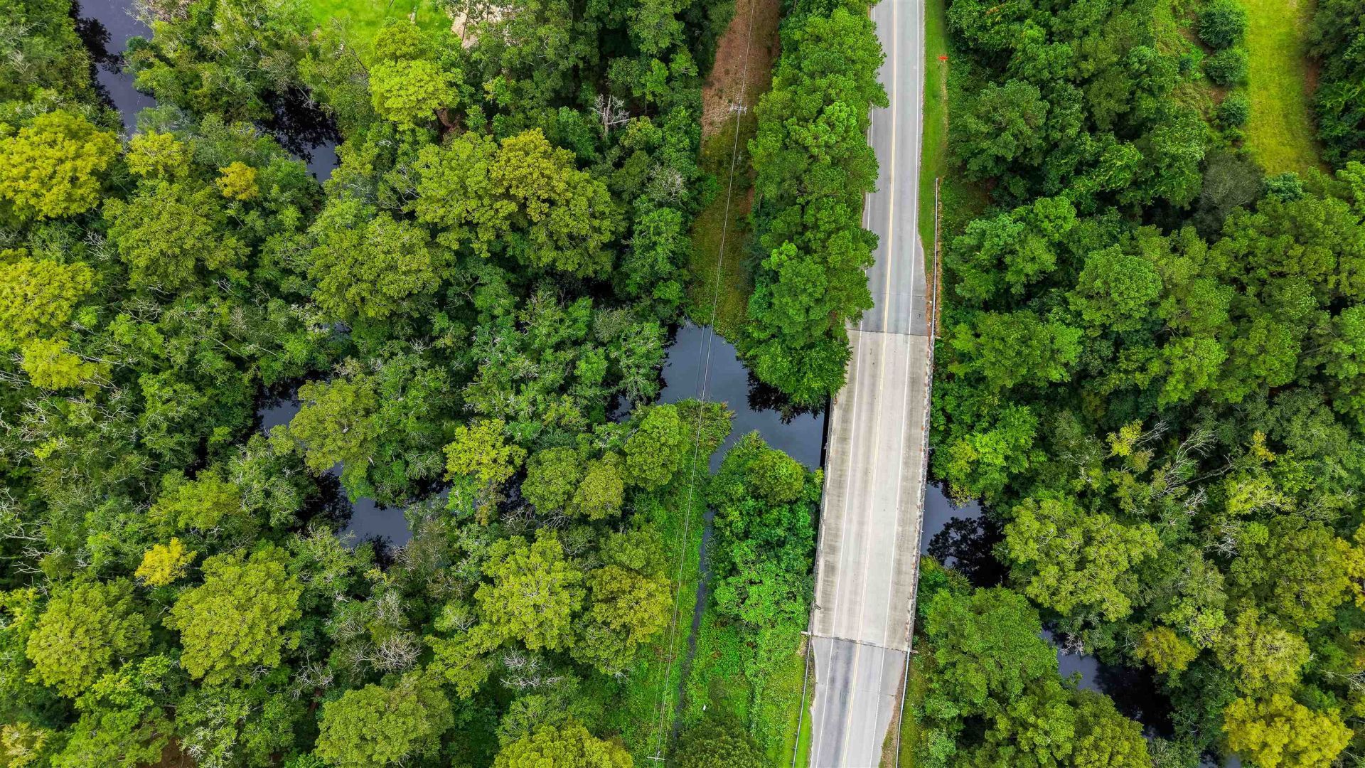0 Meggett Dr. Photo 7