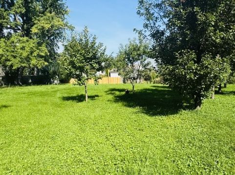 Main Photo