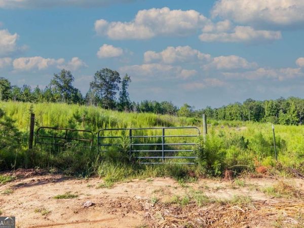 TRACT 8 Carlisle Gap Road, Woodland, GA 31836