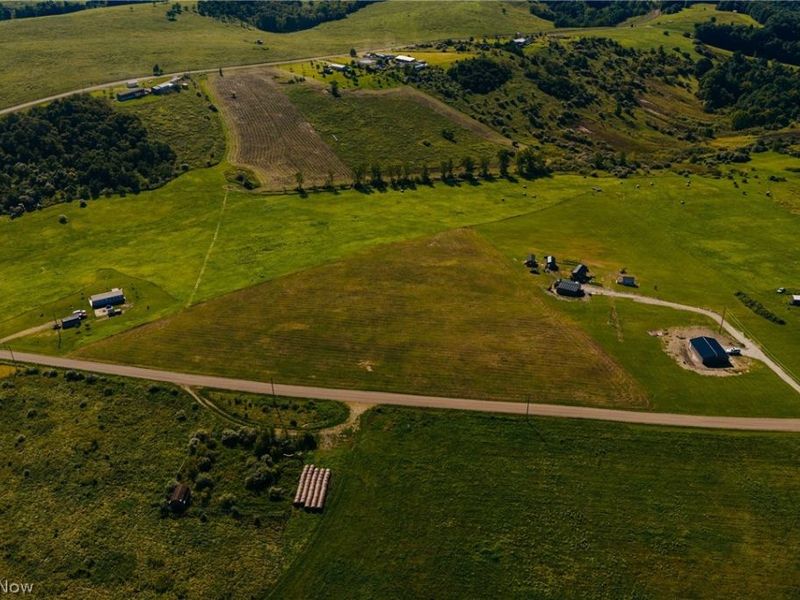 Township Road 261, West Lafayette, OH 43845 Photo 11