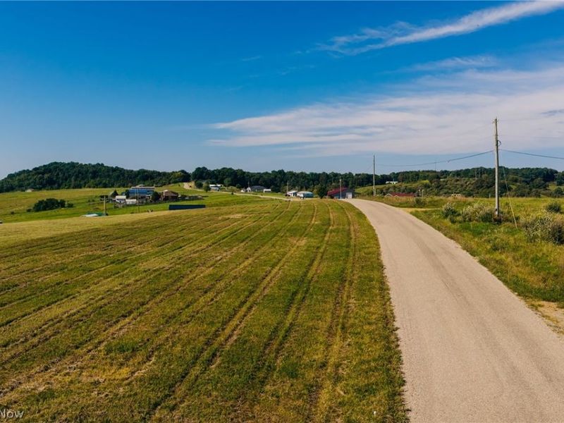 Township Road 261, West Lafayette, OH 43845 Photo 3