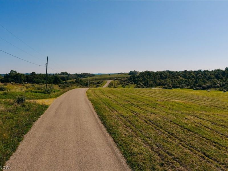 Township Road 261, West Lafayette, OH 43845 Photo 4