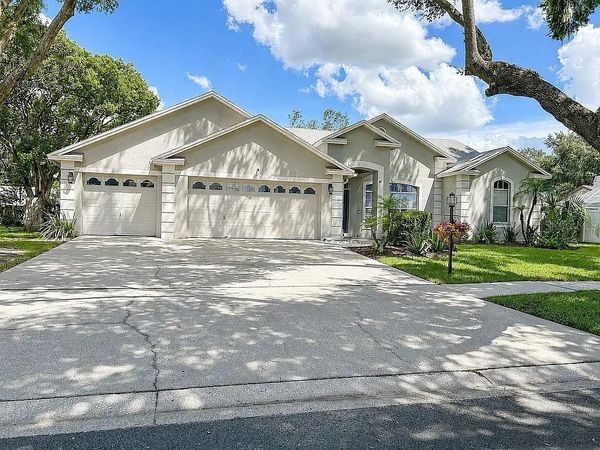 3907 ROLLING TERRACE LANE , VALRICO, FL 33596