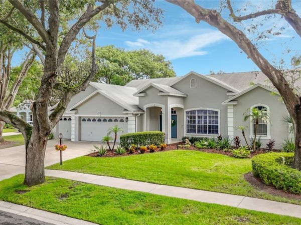 3907 ROLLING TERRACE LANE, VALRICO, FL 33596