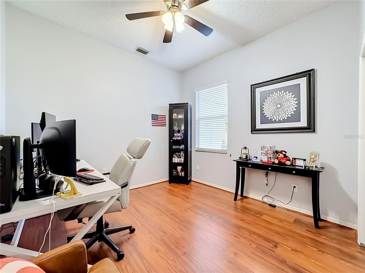 3907 Rolling Terrace Lane, Valrico, FL 33596 Photo