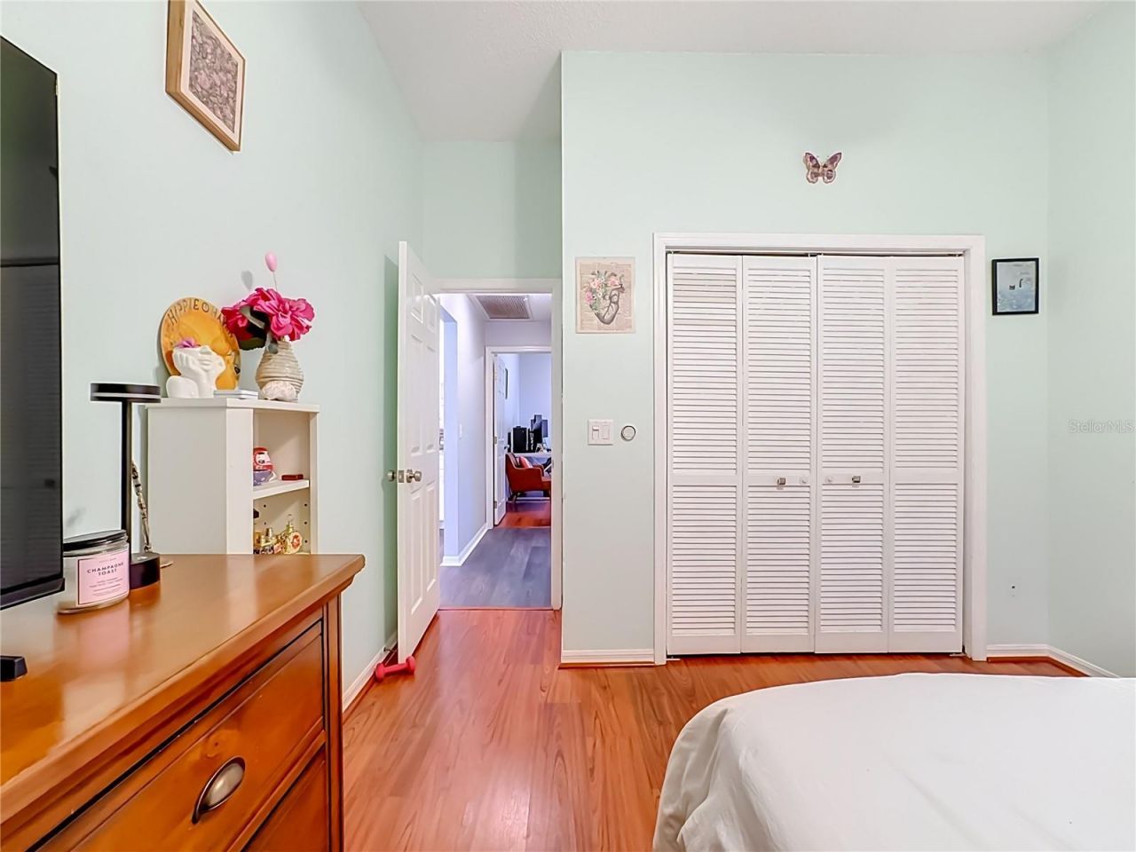 3907 Rolling Terrace Lane, Valrico, FL 33596 Photo