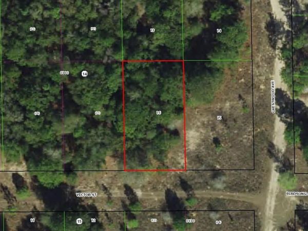 1902 VICTOR STREET , INVERNESS, FL 34453