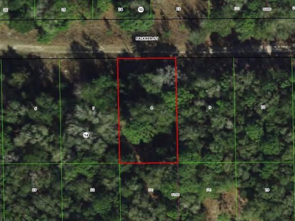 1913 FALKNER STREET , INVERNESS, FL 34453