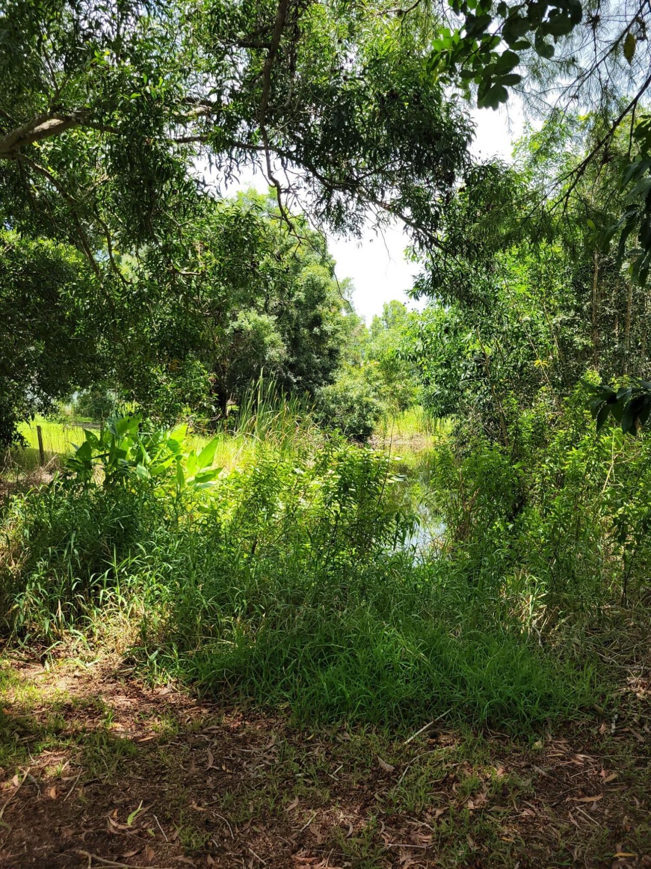 17128 30th Lane N, Loxahatchee, FL 33470 Photo
