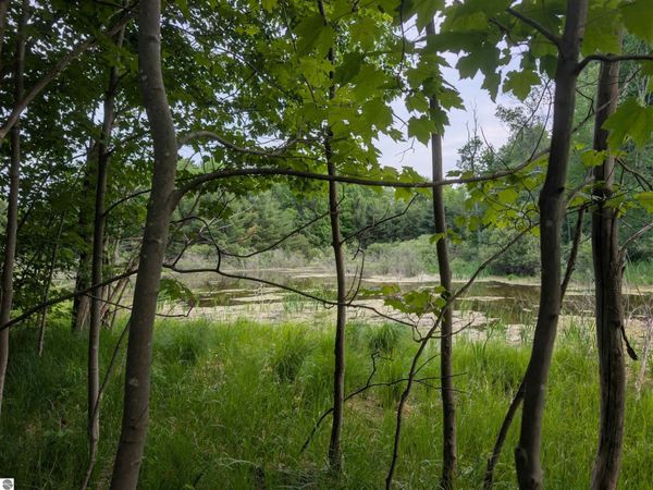 20047 Davis Lake Road, Traverse City, MI 49684