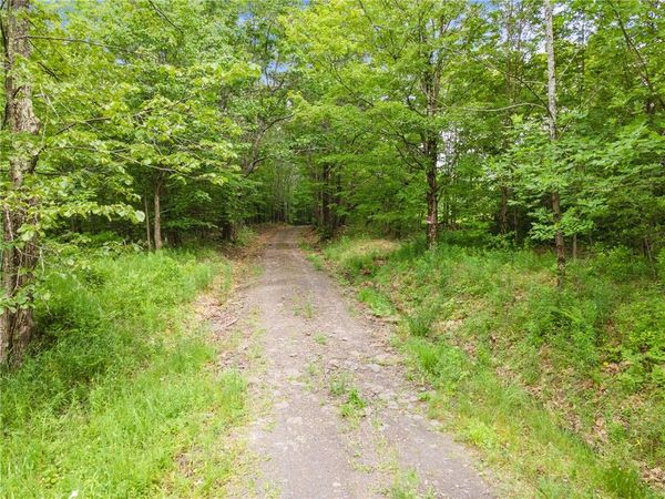 255 Lassen Road, Middleburgh, NY 12122