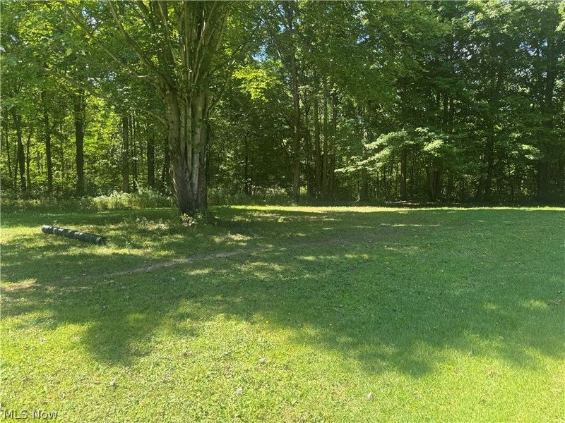 4647 Painesville Warren Road, West Farmington, OH 44491 Photo 14