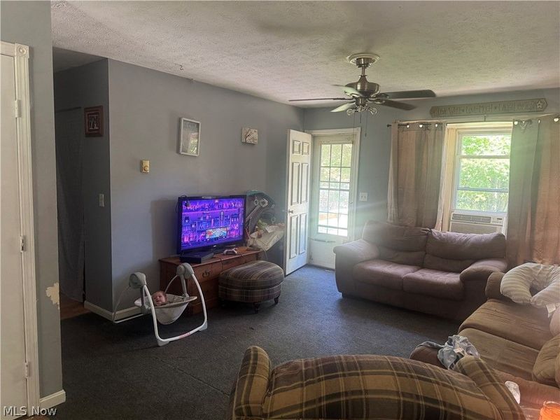 4647 Painesville Warren Road, West Farmington, OH 44491 Photo 2