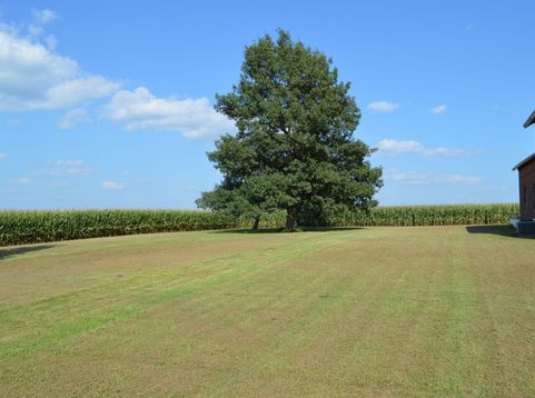 Main Photo