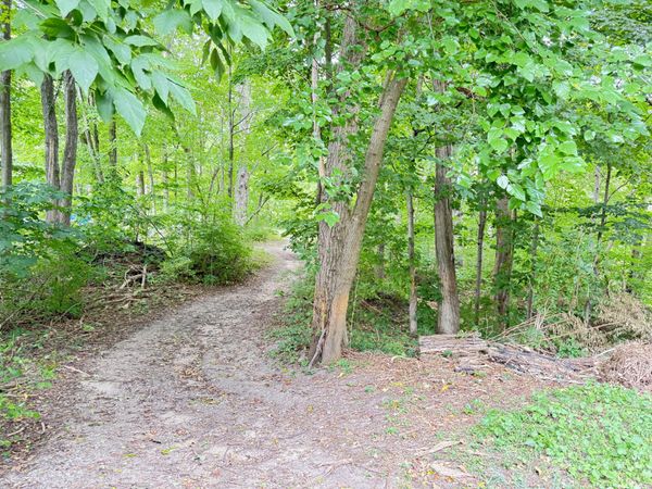 200 S Water Street, Hart, MI 49420