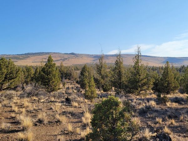2300 SE Hickory Lane, Prineville, OR 97754
