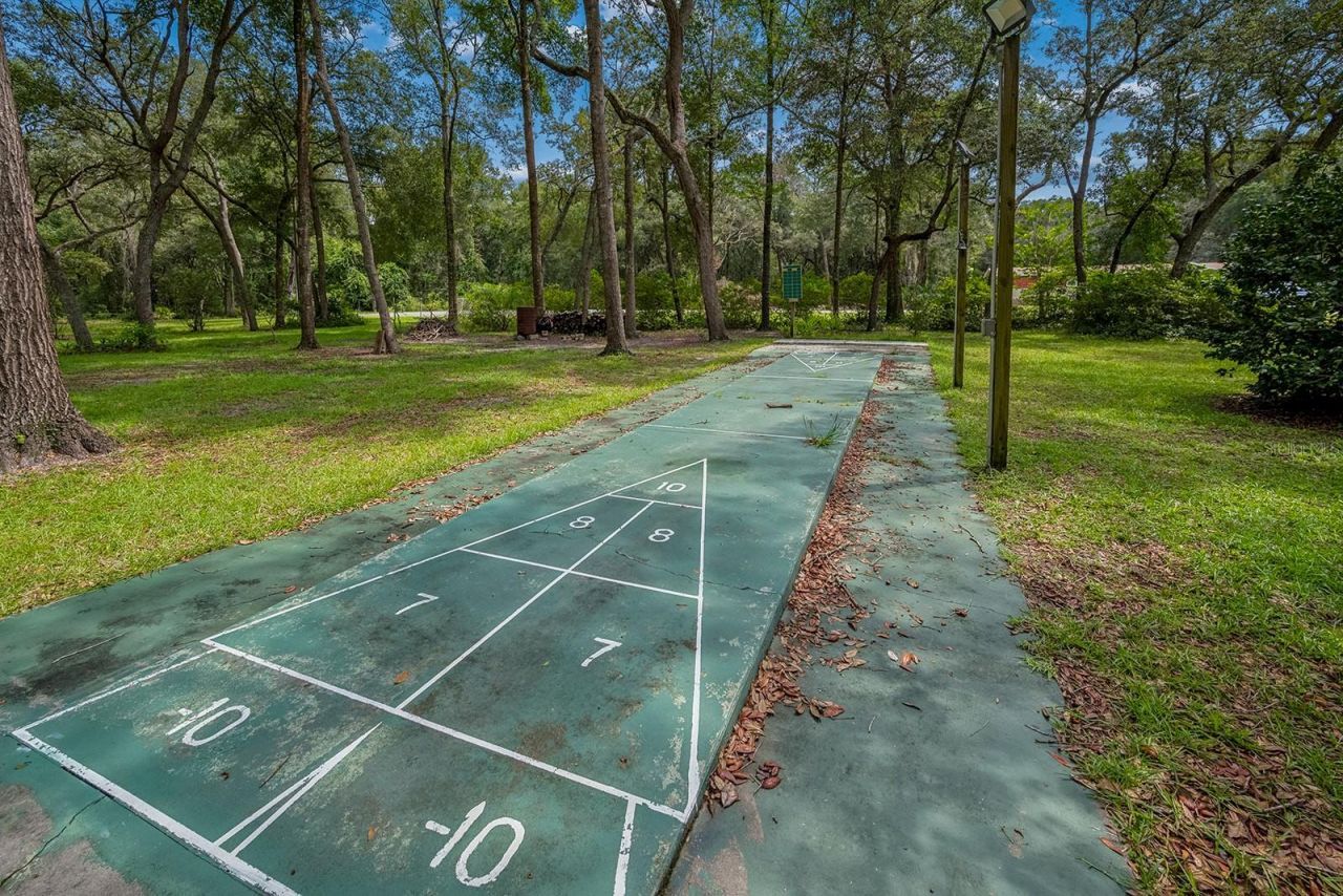17430 NW 80th Court , Fanning Springs, FL 32693 Photo