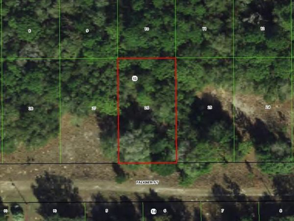 2006 FALKNER STREET , INVERNESS, FL 34453
