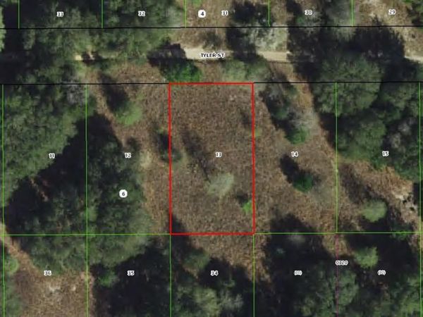 2407 TYLER STREET , INVERNESS, FL 34453
