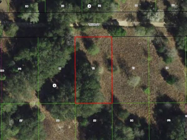 2409 TYLER STREET , INVERNESS, FL 34453
