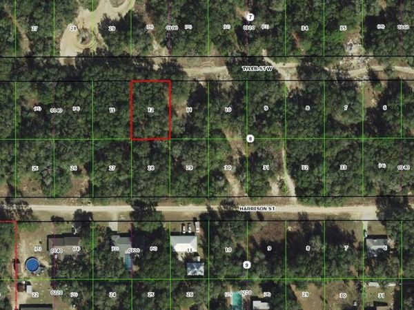 2909 TYLER STREET , INVERNESS, FL 34453