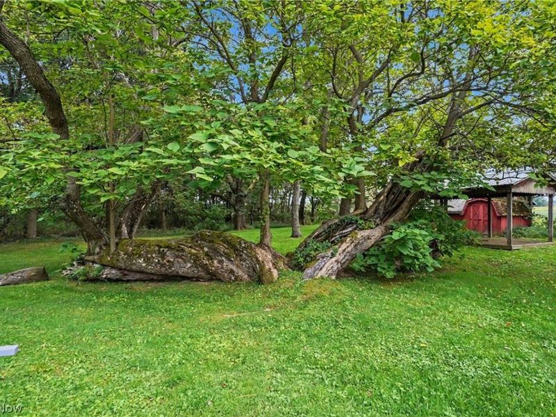 51117 Hadley Road, East Palestine, OH 44413 Photo 44