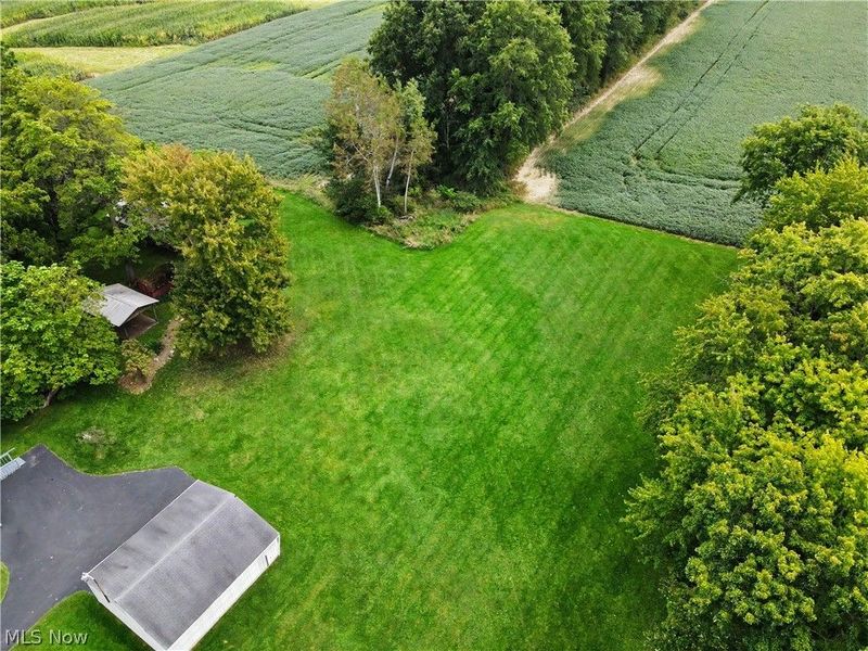 51117 Hadley Road, East Palestine, OH 44413 Photo 46
