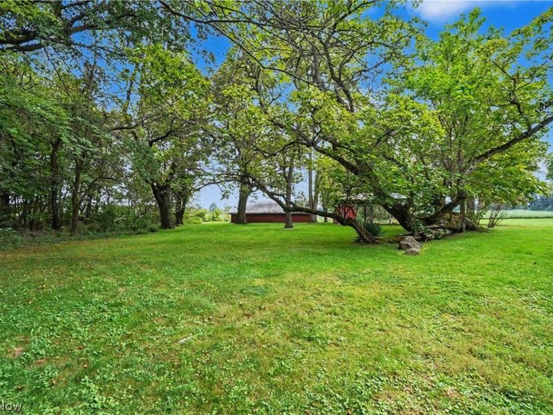 51117 Hadley Road, East Palestine, OH 44413 Photo 47