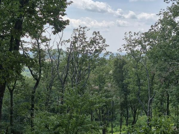 1.5Acres High Summit Drive, Talking Rock, GA 30540