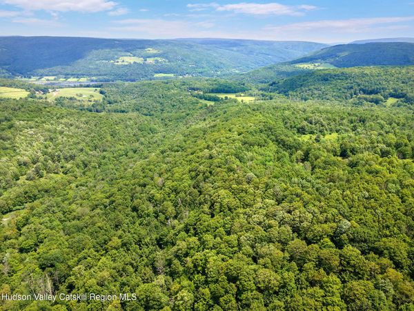 255 Lassen Road, Middleburgh, NY 12122