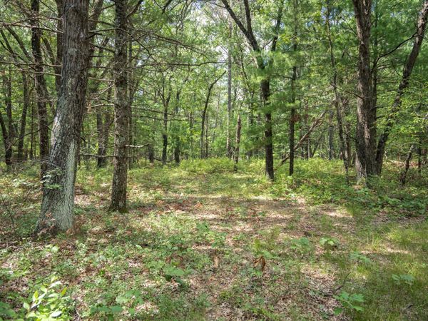 16.36 acres 7th Avenue, New Lisbon, WI 53950