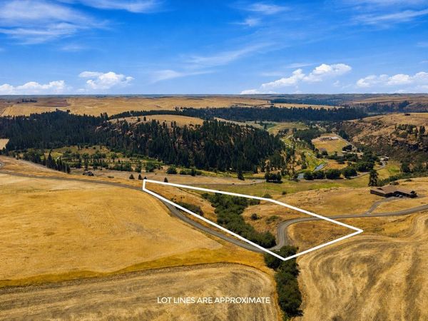 8 Acre Lot Red Tail Ridge Rd, Colfax, WA 99111