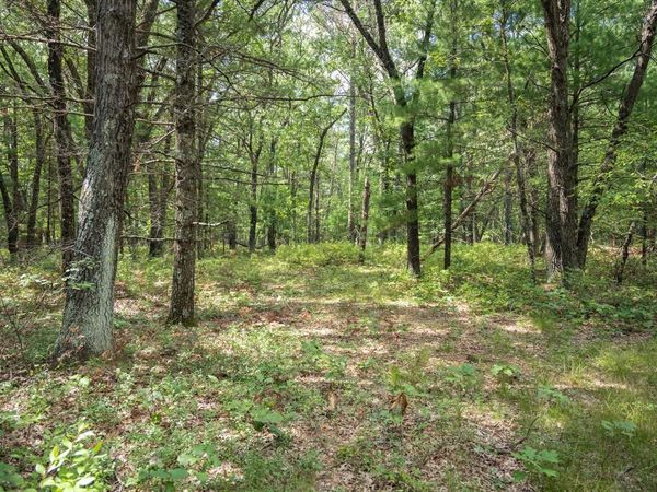 16.36 acres 7th Avenue, New Lisbon, WI 53950