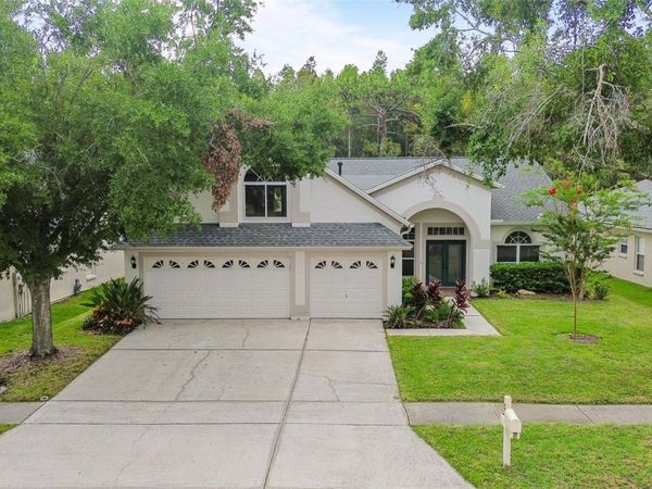 10217 TIMBERLAND POINT DRIVE , TAMPA, FL 33647