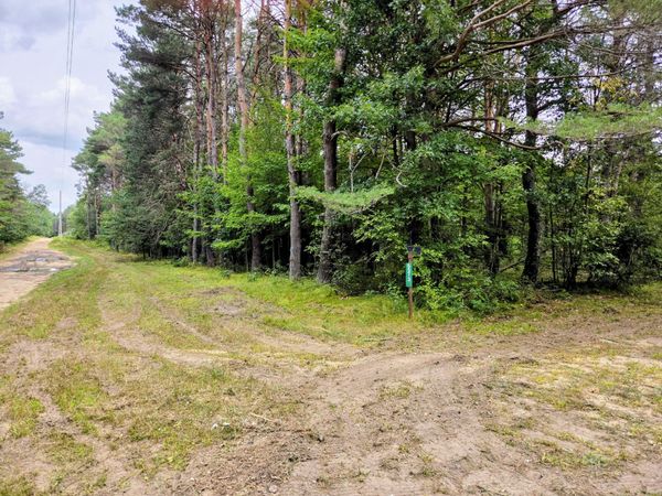 6573 Williams Trail, Grayling, MI 49738