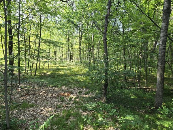Lot 536 Dover Drive, Roscommon, MI 48653