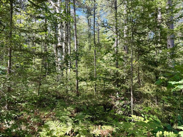 V/L Yvonne Avenue, Cheboygan, MI 49721