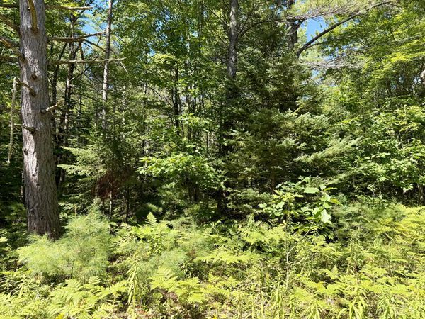 V/L Yvonne Avenue, Cheboygan, MI 49721