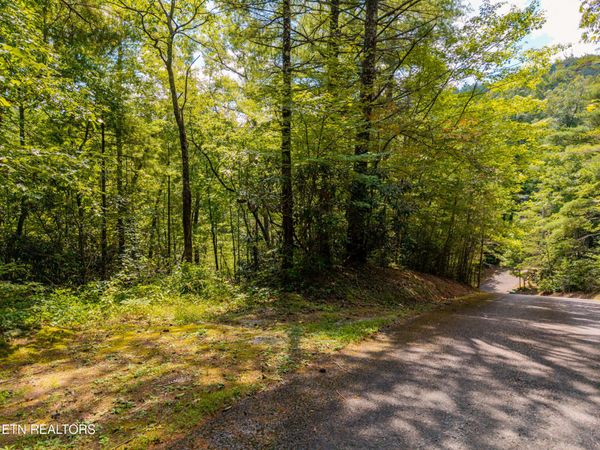 267 Cobblestone Way, Townsend, TN 37882