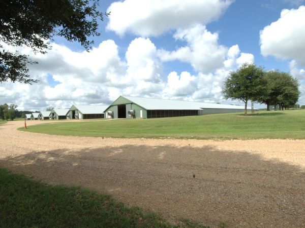 188 Stovall Rd., Kokomo, MS 39643
