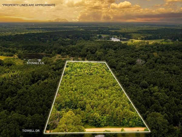 Parcel 3 Stovall Ln., Summit, MS 39666